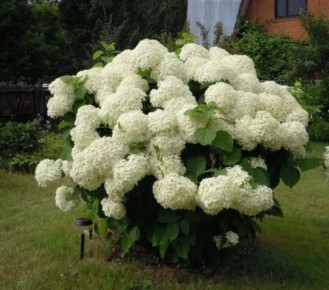 ��� ������ � ���� � ����� ����: ���������� ������ ��� ���������