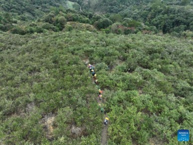 ���� ������ ������� ���������: �������� � �������