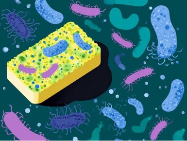 �������� ����� ��� �������� ����������: ��� ����� �����?