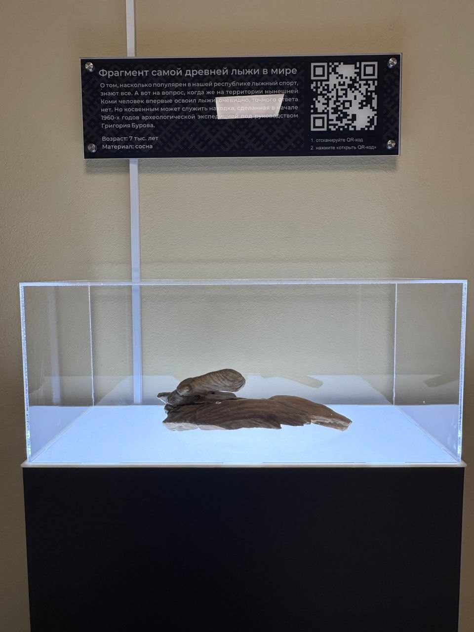 Максим Мартышин: Знаете, что общего между древним охотником и современным спортсменом? Лыжи! И воспитанники детского сада №99 теперь знают это точно Максим Мартышин: Знаете, что общего между древним охотником и современным спортсменом? Лыжи! И воспитанники детского сада №99 теперь знают это точно