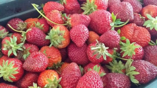 ������ �������� � ������� �� ����: �������� �� ����� ������������