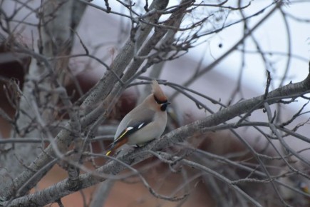 ������ ����! �������, 15 ������, � ���������� ����������� �����: -2...-4 �C, ����: +10...+12 �C