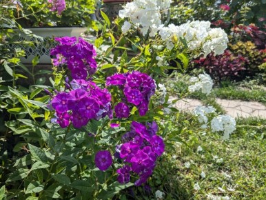 ������ � ����: ��� ��������� �������� � ������������� � �����