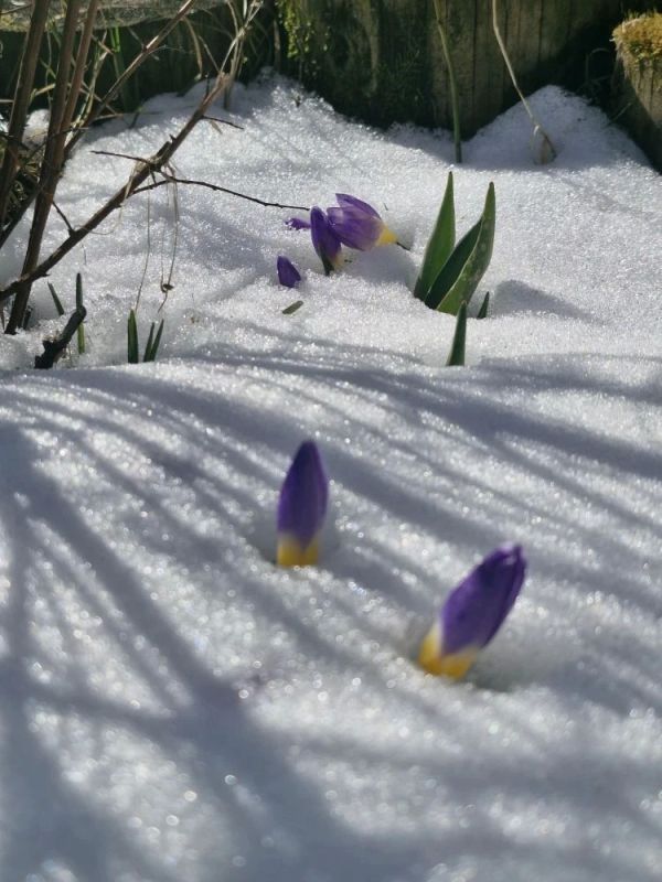 ������ ����! �������, 16 ������, � ���������� ����������� �����: -2...-4 �C, ����: +14...+16 �C