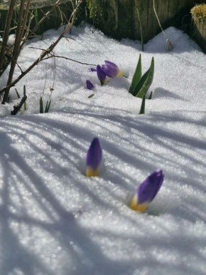 Доброе утро! Сегодня, 16 апреля, в Сыктывкаре температура ночью: -2...-4 °C, днём: +14...+16 °C