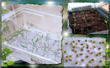 ������ � �������: �������� ������ ��� ��������� ��������������