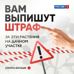 Дачники, сохраняйте! . С 1 марта — новые штрафы за растения на участке