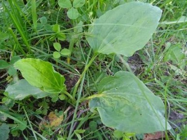 ����������: ����������� ��������, ������� ������� ���� ������������� � ��������