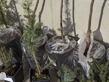 ��� ����������� ������� � �������: 5 ����������� ������� ��� �����