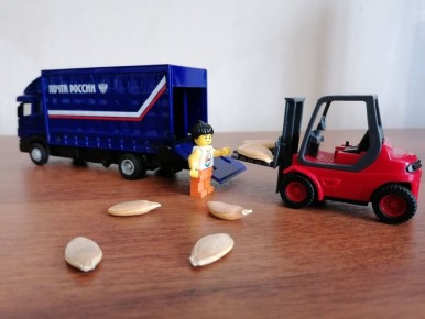 ���������� �����: ��� ������������� � �������� �����