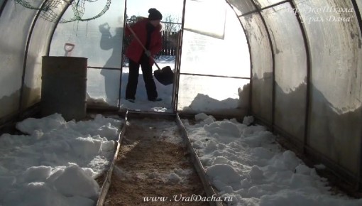 ���� � �������: ������� ��� ������ ��� ������?