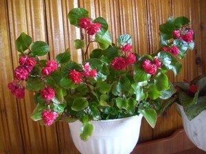 ����� �������: ��� ������������ ����� � �� ����