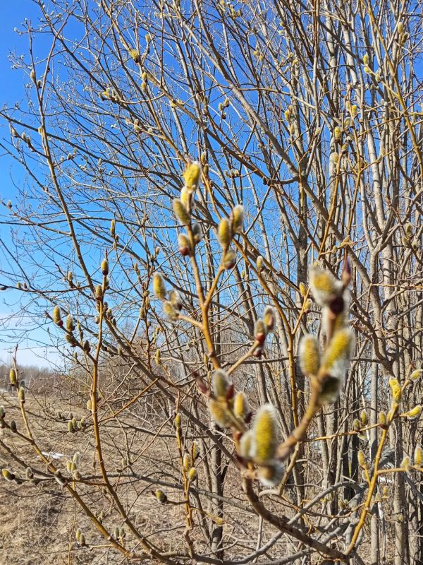 ����������� ������ � ���� ����� ����������