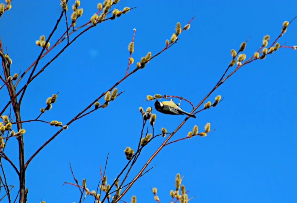 ������ ����! �������, 20 ������, � ���������� ����������� �����: -5...-7 �C, ����: +5...+7 �C