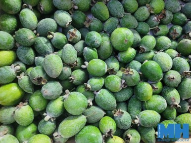 ����� ������: ����� ������ � ����� ���� �� ��������� � ������� ��� �����?