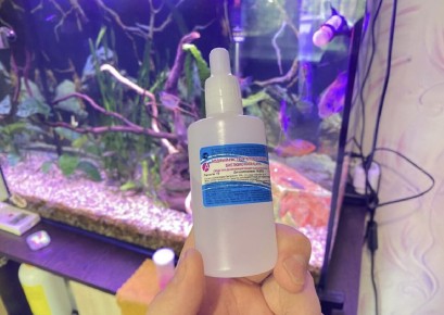 ������������: ���� ����������� �������� ���������� � ����