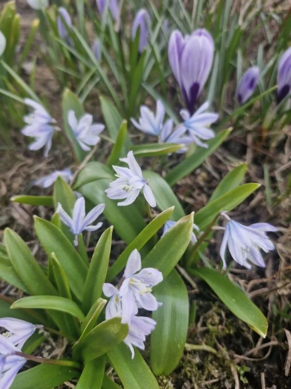 ������ ����! �������, 21 ������, � ���������� ����������� �����: -4...-6 �C, ����: +6...+8 �C