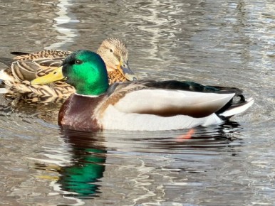 ������ ����! �������, 22 ������, � ���������� ����������� �����: -4...-6 �C, ����: +8...+10 �C