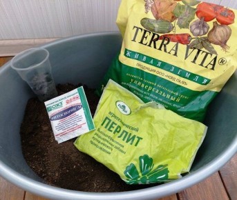 ��� ������� ����� ��� ������� ���������: 7 ��������� �������