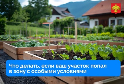 �� �������� ����������� �� ����������, ��� ��� ��������� ������� �������� � �������� ���� � ������� ��������� ������������� ���������� (�����)?