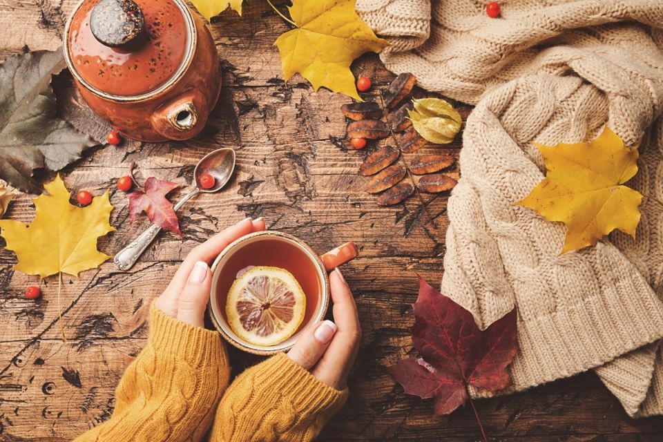������ � ������ ����� ������: ��� ������ �� Ogorod.ru