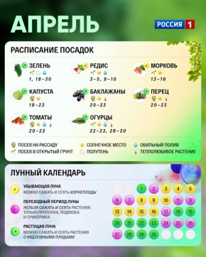 ������ ����. ������� ����. ��� ������ ������� � ����� � ��� ������?