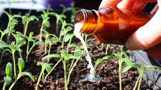 ����������� ��������� ��� �������: ������ ��������� ���������