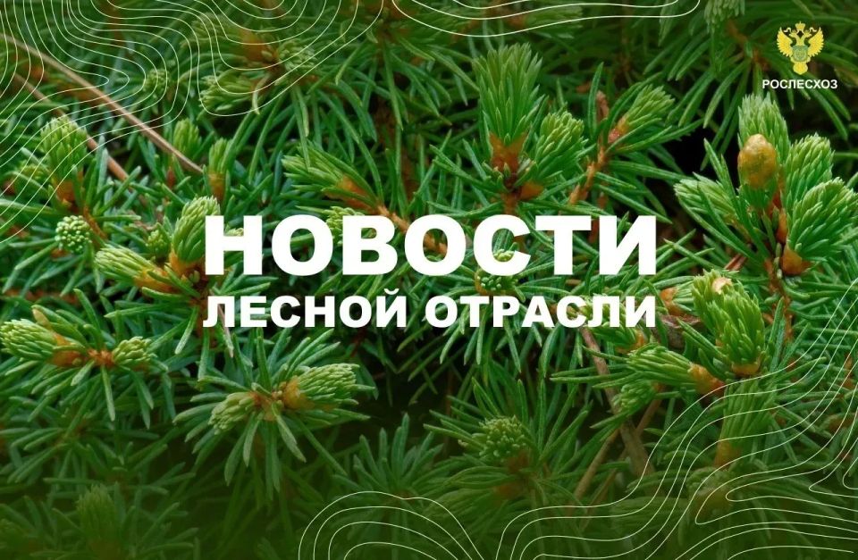 ����������: ���������� ���� ������ � �������������� ������