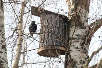 ������ ����! �������, 24 ������, � ���������� ����������� �����: 0...+2 �C, ����: +8...+10 �C