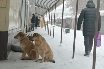 � ���� ��������� ��������� ��������� �������� ��� ������ ����� �����