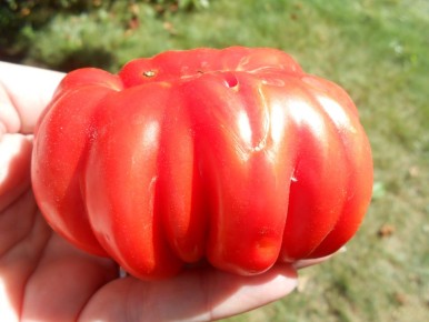 ������� ��������� ����� �� ����������: � ������� ��� �����