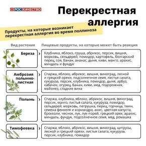 ���������, ����� ��������: ��� ������ ���� ����������