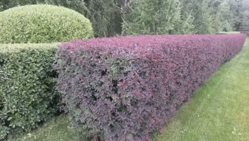 ��� ��������� �� ������ ����������: ������ �� ������� � ������������