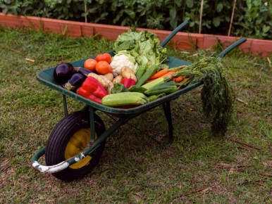 ��� ��������: ������ ��� �������? ����������� ������