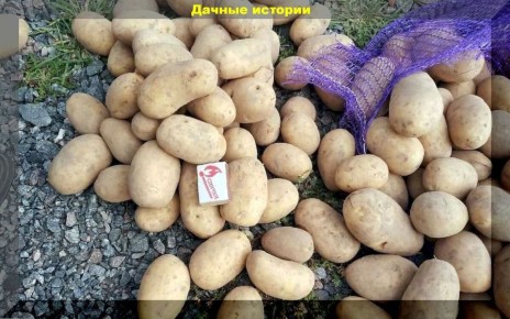 ��������� ����� ��������� ��� ��������: �������� ������ ��� ������ ������
