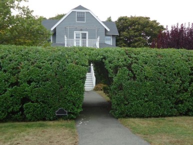 ���: ����������� ��������� ��� ���� � ����