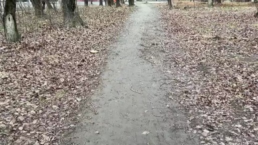 ������ ��������: ������, � ���������� ������������ ����������� �� ��������������� ����� ��������� ���������� �� ������������ ������� ������������� ���������� ��������� ������ ���������� ��������������� ��� �����