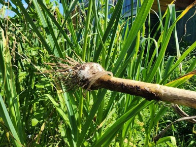 ���������� ��� ��� ����� �������: ����� ����� ������ ������ � ���� 2025 ����