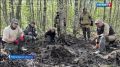 "Хранители" Следкома Коми обнаружили останки 12 бойцов Красной армии в Новгородской области