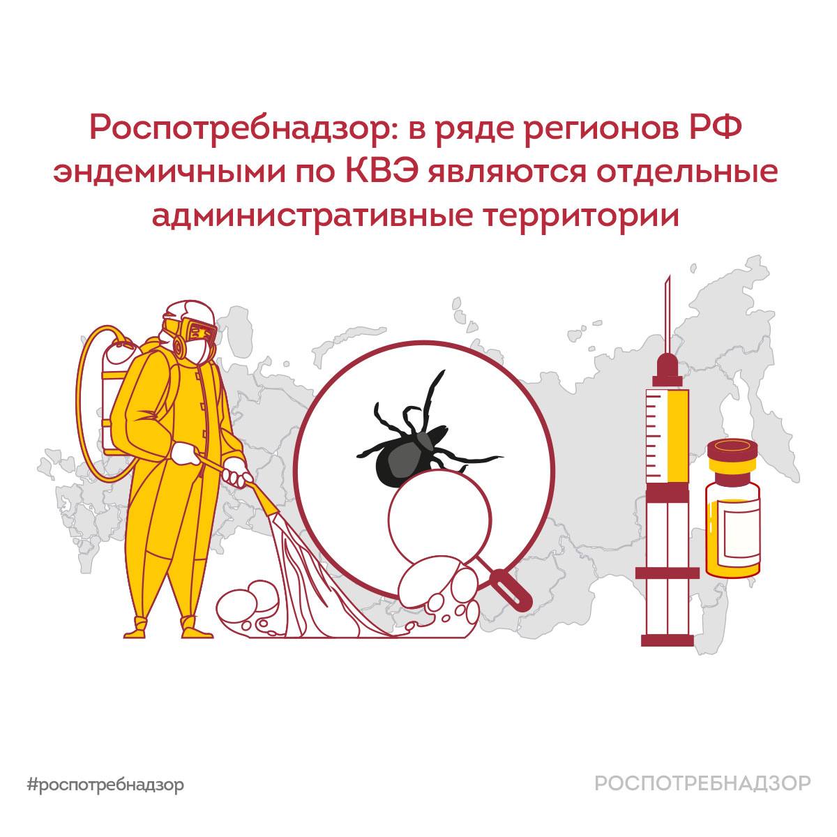 Роспотребнадзор: в ряде регионов РФ эндемичными по КВЭ являются отдельные административные территории