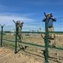 Ростислав Гольдштейн: Строительство нового водозабора в селе Объячево идёт по графику