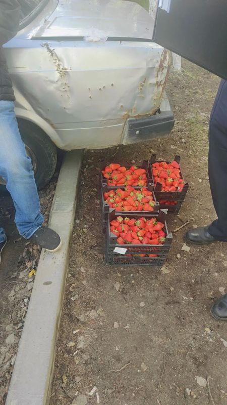 Важный разговор про еду «с рук» Важный разговор про еду «с рук»