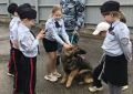 Юные кадеты познакомились с работой кинологической службы МВД по Республике Коми