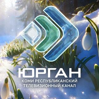 Спасённая под Троицко-Печорском прошлой весной медведица Кира вернулась в родные леса