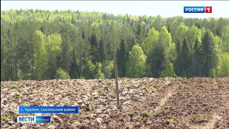 В южных районах Коми уже полным ходом идет посевная