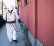 В Сыктывкаре обработают от клещей почти 430 тысяч кв.м