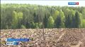 В южных районах Коми уже полным ходом идет посевная