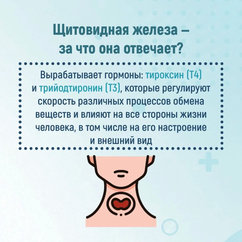 Неделя профилактики заболеваний эндокринной системы Неделя профилактики заболеваний эндокринной системы