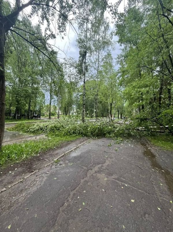Максим Мартышин: Вчера наш Сыктывкар снова накрыло непогодой Максим Мартышин: Вчера наш Сыктывкар снова накрыло непогодой
