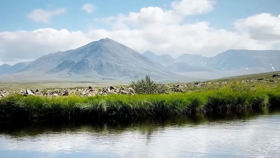 Кодк кыйдч ош брся, кодк зэр улын ктась, а кодк кавшась Урал из выл Кодк кыйдч ош брся, кодк зэр улын ктась, а кодк кавшась Урал из выл